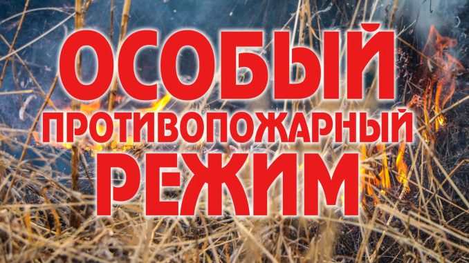 особый